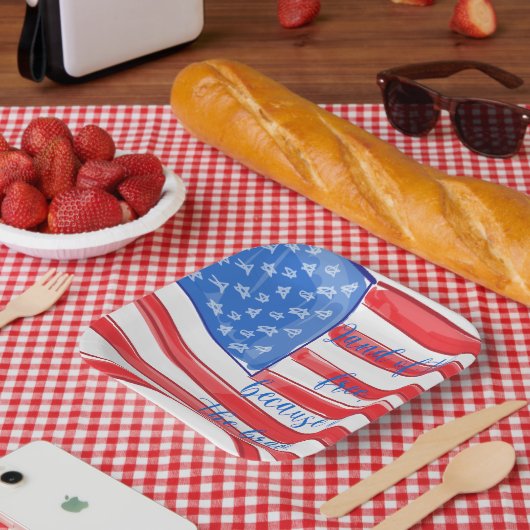 Patriotisches amerikanisches Flaggenland der Freie Pappteller (Picknick)
