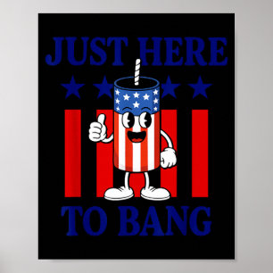 Patriotisches Feuerwerk USA Humor einfach hier um Poster