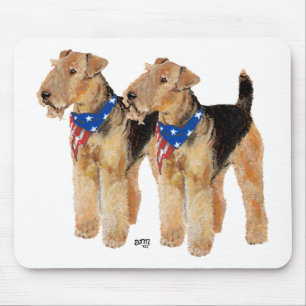 Patriotisches Flaggen-Duo Mousepad