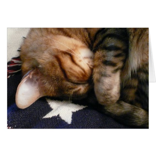 Patriotisches Nickerchen (Vorderseite (Horizontal))