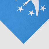 Patriotisches Papiertaschentuch mit der Flagge von Seidenpapier (Ausschnitt)