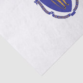 Patriotisches Papiertaschentuch mit Fahne von Mass Seidenpapier (Ausschnitt)