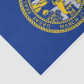 Patriotisches Papiertaschentuch mit Flagge Nebrask Seidenpapier (Ausschnitt)