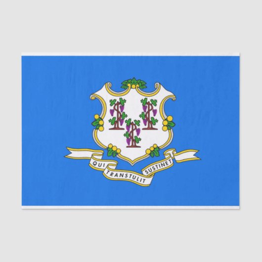 Patriotisches Papiertaschentuch mit Flagge von Con Seidenpapier (Vorderseite)