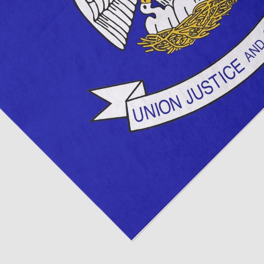 Patriotisches Papiertaschentuch mit Flagge von Lou Seidenpapier (Ausschnitt)