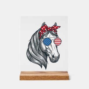 Patriotisches Pferd mit Flagge Sonnenbrille Vintag Acrylschild