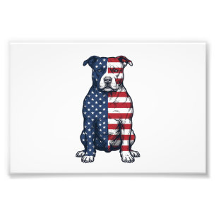 Patriotisches Pit Bull Vintage-Gravur-Vektordesign Fotodruck