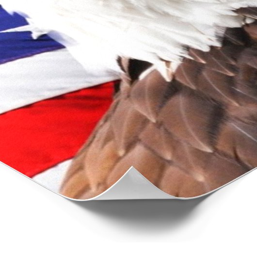 Patriotisches Poster (Ecke)