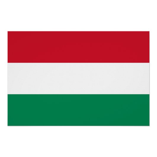 Patriotisches Poster mit Flagge Ungarns (Vorderseite)