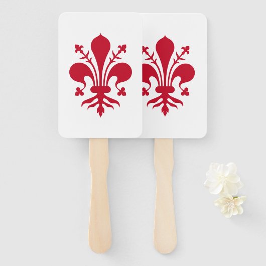 Patriotisches Set der Fans mit der Fahne von Flore Fächer (Vorne und Hinten)