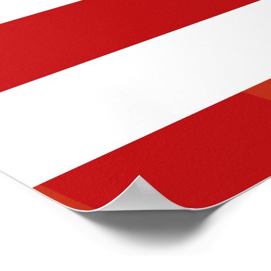 Patriotisches Tarnmuster Poster (Ecke)