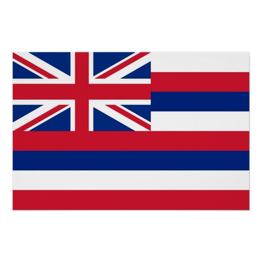 Patriotisches Wandplakat mit Flag Hawaii Poster (Vorderseite)