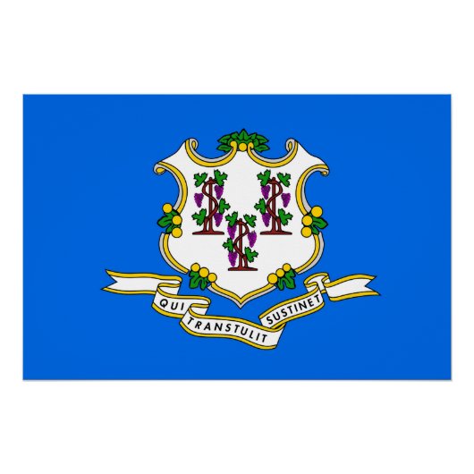 Patriotisches Wandplakat mit Flagge von Connecticu Poster (Vorderseite)