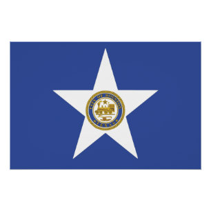 Patriotisches Wandplakat mit Flagge von Houston Poster