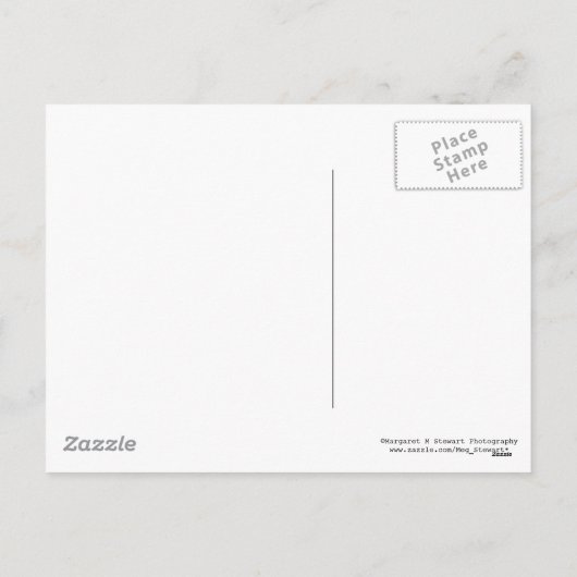 Patriotisches Weihnachten (Rückseite)