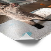 Patsy der Bär Fotodruck (Ecke)