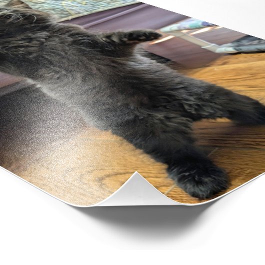 Patsy the Baby Bear (but older) Fotodruck (Ecke)