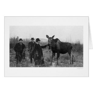 Patten eines Elch-Fotos 1921