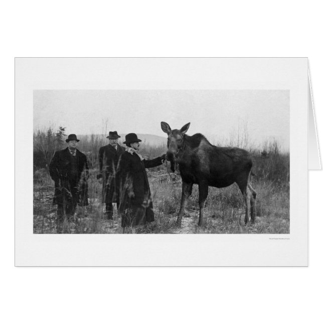 Patten eines Elch-Fotos 1921 (Vorderseite (Horizontal))