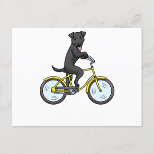 Patterdale Terrier Dog Postkarte