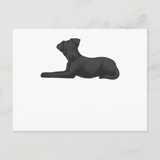 Patterdale Terrier Dog Postkarte (Vorderseite)