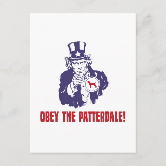 Patterdale Terrier Postkarte (Vorderseite)