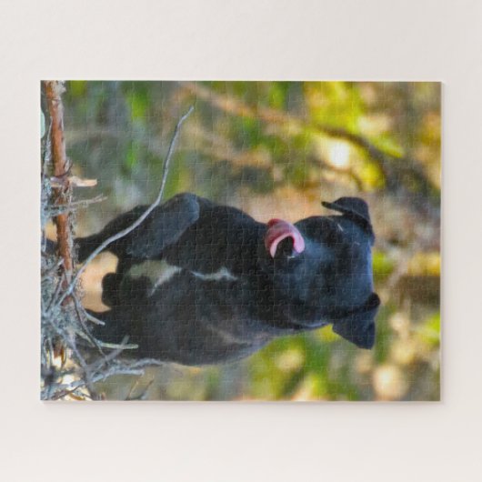 Patterdale Terrier. Puzzle (Horizontal)