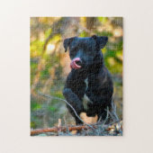 Patterdale Terrier. Puzzle (Vertikal)