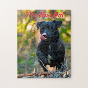 Patterdale Terrier. Puzzle