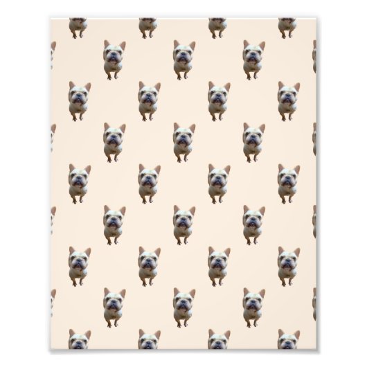 pattern_1_french bulldog_1 fotodruck (Vorne)