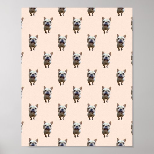 pattern_1_french bulldog_1 matt poster (Vorne)