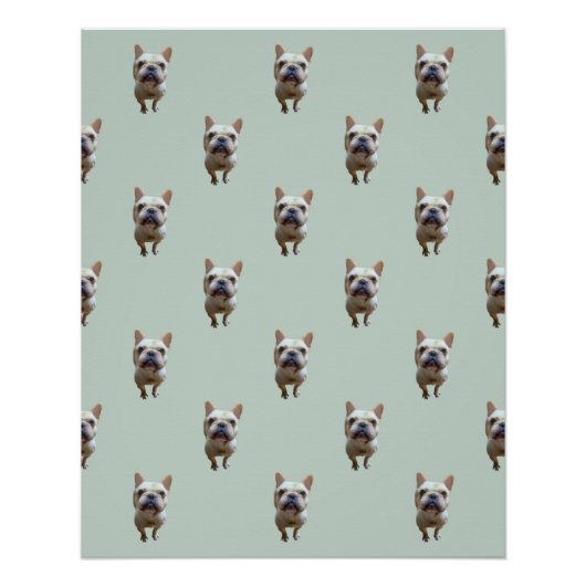 pattern_2_french bulldog_2 glänzendes Poster (Vorderseite)