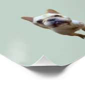 pattern_2_french bulldog_2 glänzendes Poster (Ecke)