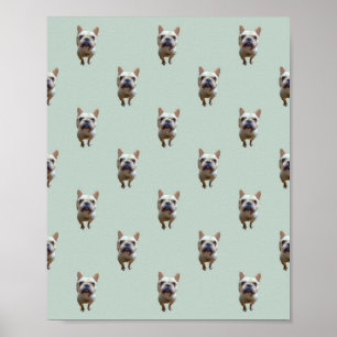 Pattern_2_French Bulldog_2_Mattposter Poster