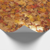 PATTERN DER SPEICHERUNG DER AUTUMNSTÜCKE GESCHENKPAPIER (Ecke)