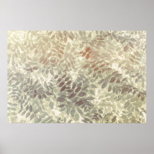 Pattern of Vetch Leaves San Juan Islands, WA Poster