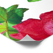 Pattern with Red, White and Pink Roses, Poster (Ecke)