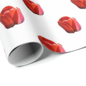 Pattern with tulips on geschenkpapier (Rolleneckpunkt)