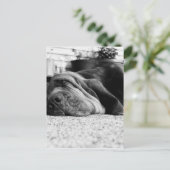 Patti Bloodhound Postkarte (Stehend Vorderseite)