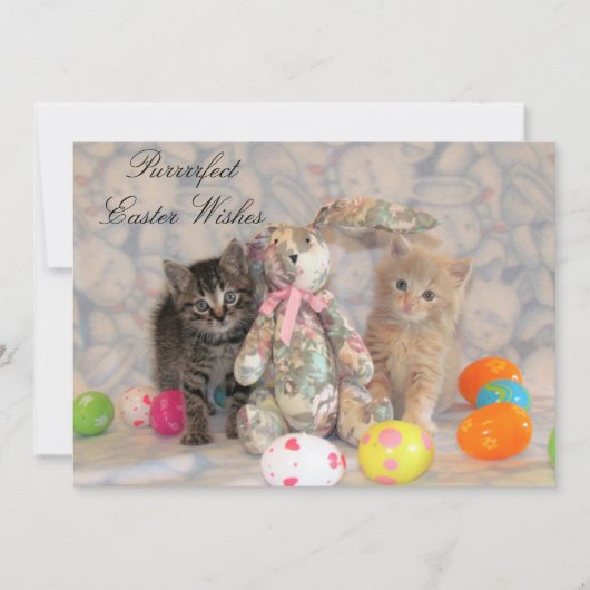 Patton & Buffington Easter Cat Feiertagskarte (Vorderseite)