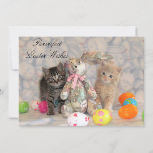 Patton & Buffington Easter Cat Feiertagskarte