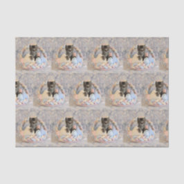 Patton's Osterkorb- Katze / Kitten Tissue Paper Seidenpapier