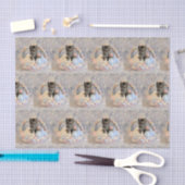 Patton's Osterkorb- Katze / Kitten Tissue Paper Seidenpapier (Handwerk)