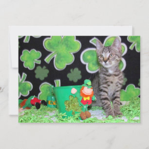 Patton's St. Patrick's Day Cat/ Kitten - Flat Card Feiertagskarte