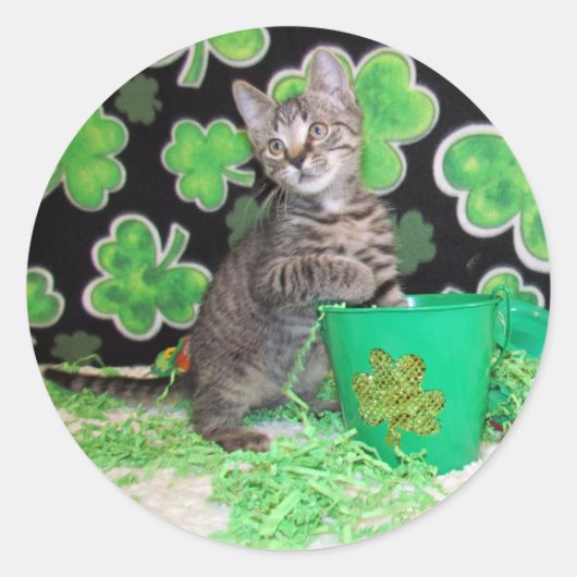 Patton's St. Patrick's Day Cat / Kitten Stickers (Vorderseite)