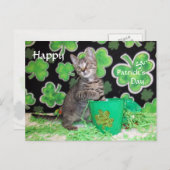 Patton's St. Patrick's Day Postcard - Katze / Kitt Postkarte (Vorne/Hinten)