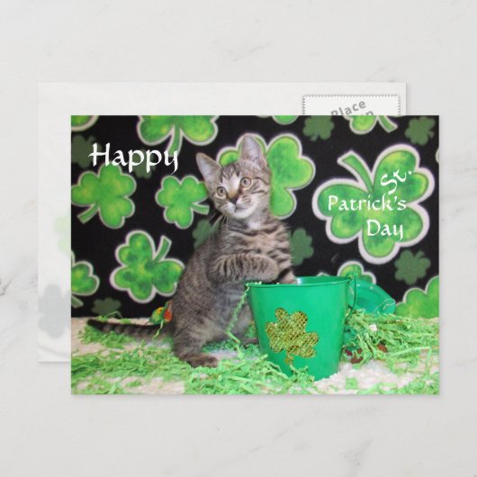 Patton's St. Patrick's Day Postcard - Katze / Kitt Postkarte (Vorne/Hinten)