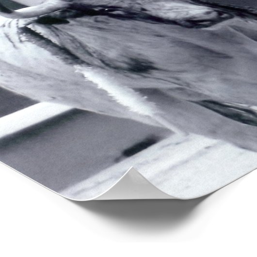 Pattsituation Poster (Ecke)