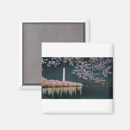 PAU42 Washington am Abend.tif Magnet (Vorderseite/Rückseite)