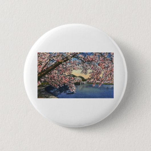 PAU43 Gezeiten- Basin.tif Button (Vorderseite)